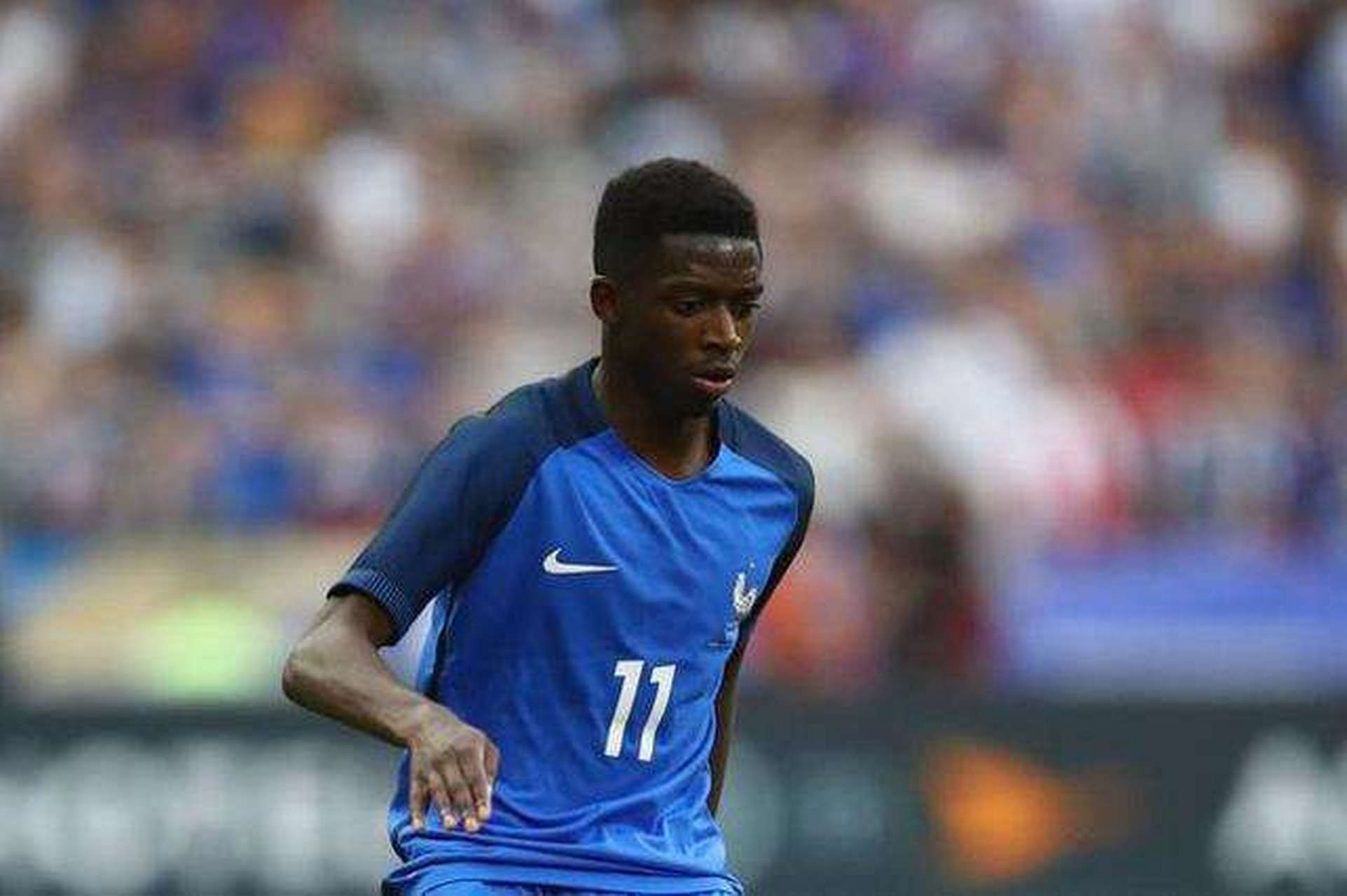 可持续老虎机使用生物降解材料